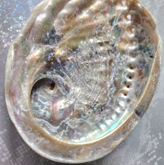 Abalone Smudging Shell - Picture 3 of 7